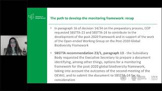 Webinar: Updated Monitoring Framework and associated information documents SBSTTA item 3