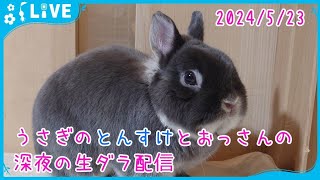 【雑談・うさぎ】熱落ち強制終了しました、すいません🙇　寝落ち歓迎、魅惑のおっさんボイスで眠りへと誘いますw うさぎのとんすけとおっさんの深夜の生ダラ配信　2024/5/23