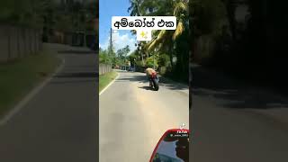 ලංකාවේ කොල්ලො පිස්සුවට්ටන බයික් එක #love #smartphone #s1000rr #rider #bmw @SLBike1 #bikelife