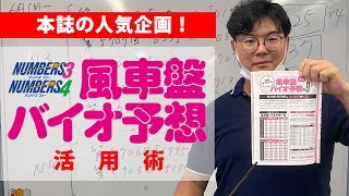 【ナンバーズ3＆4】6月最強助っ人【風車盤バイオ予想】