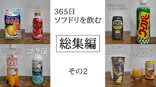 365日ソフドリを飲んだ記録のまとめ2