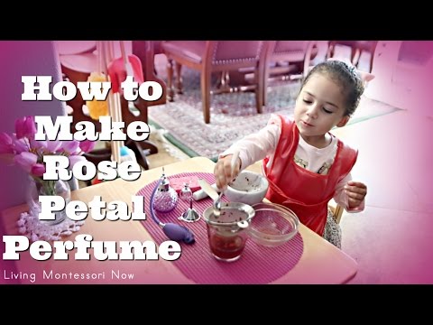 How to Make Rose Petal Perfume How to Make Rose Petal Perfume