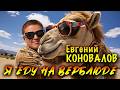 Евгений КОНОВАЛОВ - 