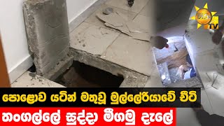 පොළොව යටින් මතුවූ මුල්ලේරියාවේ චීටි  - තංගල්ලේ සුද්දා මීගමු දැලේ  - Hiru News