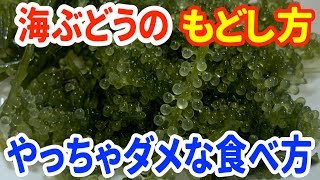 海ぶどうの戻し方・正しい食べ方・醤油やドレッシングは直接かけちゃダメ