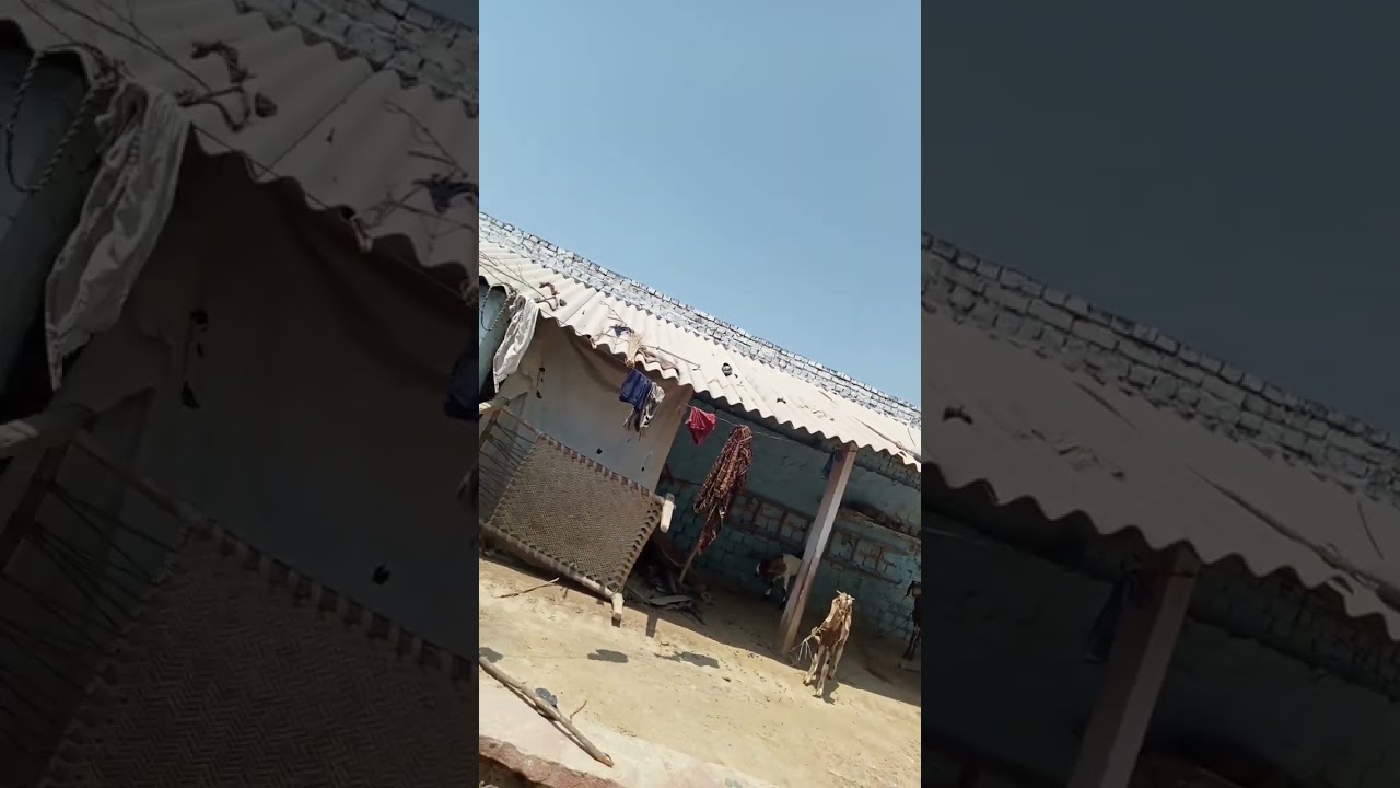 September 6 2022 Youtube