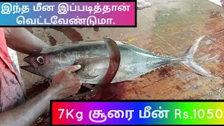 amazing Tuna fish cutting video | [ சூரை மீன் 7 Kg Rs.1050 ]இந்த 🦈மீன்🐟 இப்படித்தான் கட் பண்ணனுமா 🌊