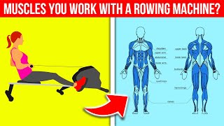 What Muscles Do You Work with a Rowing Machine?