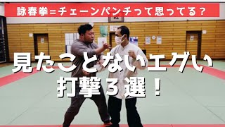 【詠春拳】詠春拳といったらチェーンパンチって思ってる？見たことないエグい打撃３選！