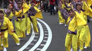 YND☆祭／駅前中央会場（流し）／ISEHARAソーレパレード2013