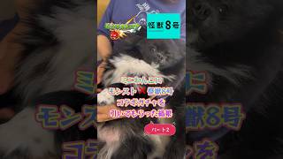 【モンスト】ミニわんこに怪獣8号コラボガチャを引いてもらった結果パート2