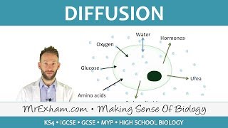 Diffusion - GCSE Biology (9-1)