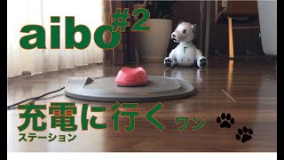 aibo充電に行くワン　充電ステーションに自分でGO!