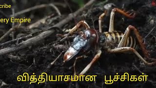 வித்தியாசமான திறமைகள் கொண்ட பூச்சிகள் mystery Empire