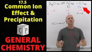 17.5 Common Ion Effect and Precipitation | General Chemistry