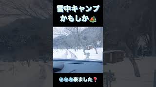 雪中キャンプ来ました 関西かもしかキャンプ場　#shorts #雪中キャンプ #関西キャンプ場　温泉付き