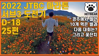 2022 JTBC 마라톤 서브3 도전기 25편: 경주동마에서 젤만 10개 먹은 썰 그리고 황산공원의 국화향연 꽃잔치