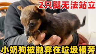 小奶狗2只腿无法站立，被抛弃在垃圾桶旁