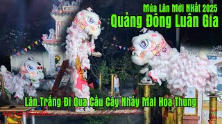 LSR Quảng Đông Luân Gia - Múa Lân Mới Nhất 2025 - Lân Qua Cầu Cây Nhảy Mai Hoa Thung Siêu Hay Luôn