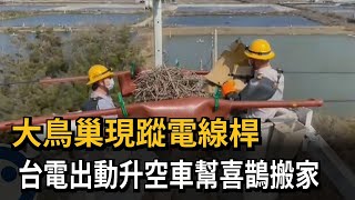 大鳥巢現蹤電線桿 台電出動升空車幫喜鵲搬家－民視新聞