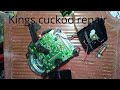 cuckoo clock repair mumbai