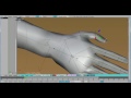 setting up blender for second life avatar animation