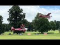 Balletic Giant Clipped Wing Cubs Display - Azza Stephens and Sonny Milgate - Weston Park 2024