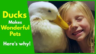 10 Reasons Why Ducks Make Wonderful Pets!!!