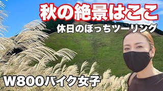 【曽爾高原】【針テラス】【大内ドライブイン】【みなみやましろ村】カワサキW800バイク女子のモトブログ