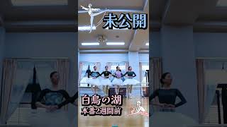 白鳥の湖 本番直前⑥ #shorts #バレエ #ダンス #ballet #dance #swan lake