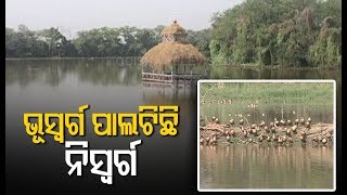 Inside Nisarg Bird Sanctuary Of Chandipur ITR