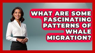 What Are Some Fascinating Patterns of Whale Migration? | The Marine Life Explorer