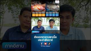 ราคาปลาเนื้อ | ป.เจริญฟาร์ม