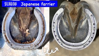 馬の靴屋さん　アルミ装蹄　競馬　乗馬　〜Japanese farrier 装蹄師〜