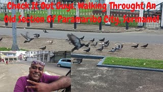 Check It Out Guys, Walking Through An Old Section Of Paramaribo City, Suriname!!