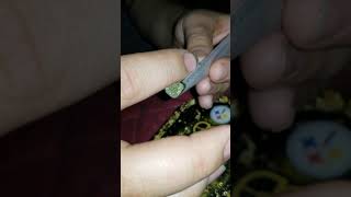 Rolling Up a Joint of Project 4516 by Grandiflora Genetics