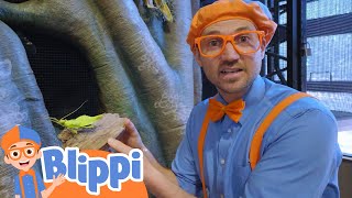 Blippi at the Zoo - Feeding the Animals | Learning Animals For Kids | Moonbug Kids