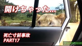 【閲覧注意】 危険な死亡寸前事故 ハプニング動画集 PART17！【衝撃映像】