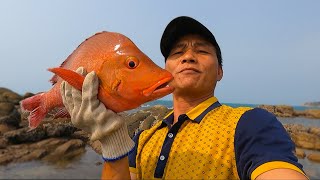 齐膝的海水中大货乱窜，好久都没见过这种劲爆场面了，随便抓爆桶