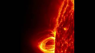 A magnificent solar prominence ring !