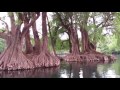 lago de camécuaro. michoacán méxico