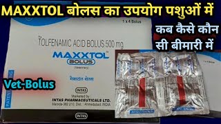 MAXXTOL BOLUS||Tolfenamic Acid का उपयोग पशुओं में कब कैसे करें||दर्द सूजन की अच्छी टेबलेट