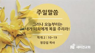 새비전감리교회 20241208 주일말씀 (학개 2:10-19)