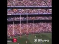 Luke Hodge big goal in the grand final!!