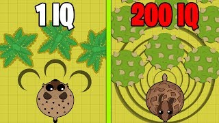 Mope.io TRICKS To LEVEL UP SUPER FAST! 200 IQ Desert Farming Methods // Mope.io Tips \u0026 Tricks