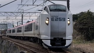 E259系横クラNe021編成［臨時特急しおさい83号銚子行］旭駅にて撮影