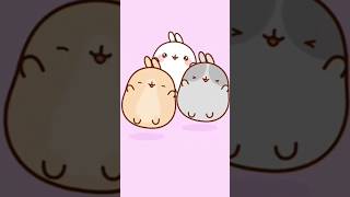 🌸Molang - Mio mao Dance🌸