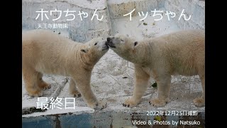 2022年「最終日のイッちゃんとホウちゃん。どこに行っても母娘の絆は永遠だよ」（12月25日 ）天王寺動物園 Icchan \u0026 Hochan at Tennouji Zoo.