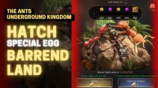 Hatch Special Eggs Barrend Land 9+1 -The Ants Underground Kingdom #theants