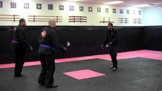 Bushido Ryu -Sparring (Vs 2 opponents) 3-8-12